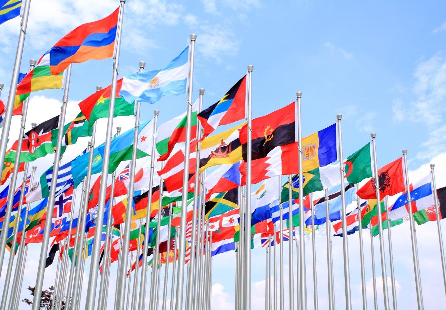 United Nations Banner Flags